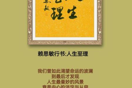 命若琴弦：人生如乐，心弦共鸣的哲思与感悟