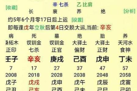 解读命格：从八字看你的人生轨迹与命运走向