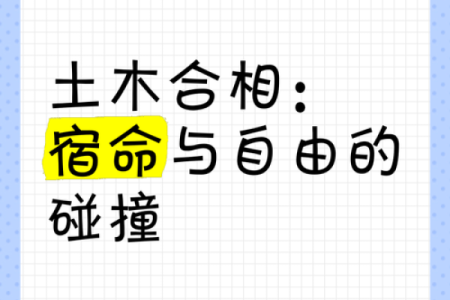 木命与土命：命理中的奇妙联系与深意