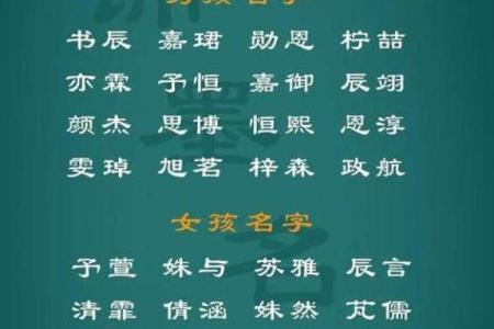 2023兔宝宝的命运解析：八字、生肖与未来命格如何影响一生？