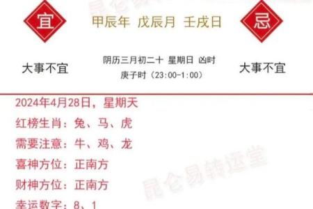 明年出生的龙宝宝运势分析及命理特点揭秘