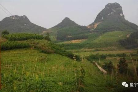 探索乙未仙命：适合坐山的选择与智慧