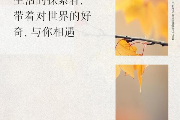 命运与星辰：1987年1月30日出生的你，将如何书写人生篇章？