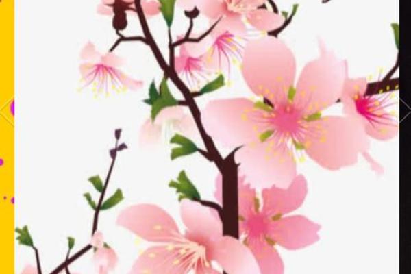 探寻缘分的尽头：为何有的人无缘桃花运？