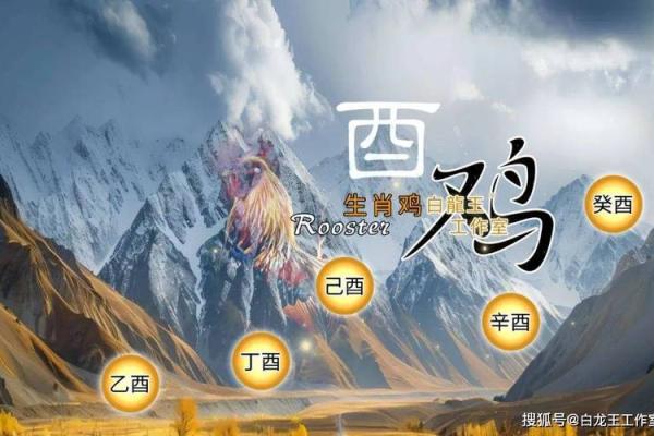 1993年属相解析：机智灵动的鸡年命运与性格分析