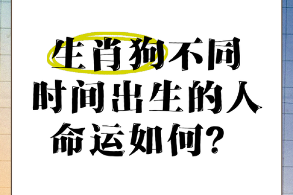 1970年属狗,命运与性格的深度解读 1970年属狗,命运与性格的深度解读