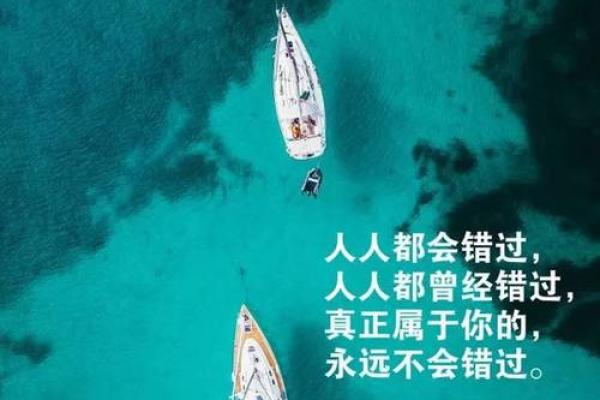 大海命的颜色选择：如何用色彩点亮人生的旅程