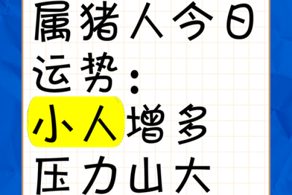 1995年属猪腊月出生的命运解析与人生运势展望