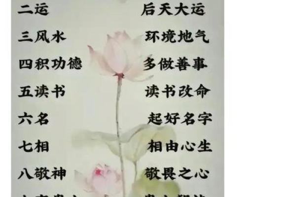 1972年命男之运势与性格解析，人生转折的秘密