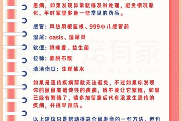 不同品种苍鼠的寿命揭秘:哪个品种活得更久? 不同品种苍鼠的寿命揭秘:哪个品种活得更久?