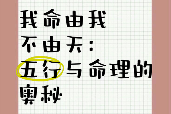 探秘李康弘命理：五行命运与人生的奥秘