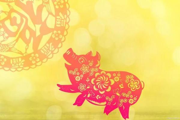 2023年23岁属猪的命运：探索命理与生活的奇妙联系