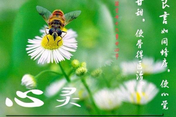 1987年5月17日出生的人命运解析：探索命理与生活的奥秘