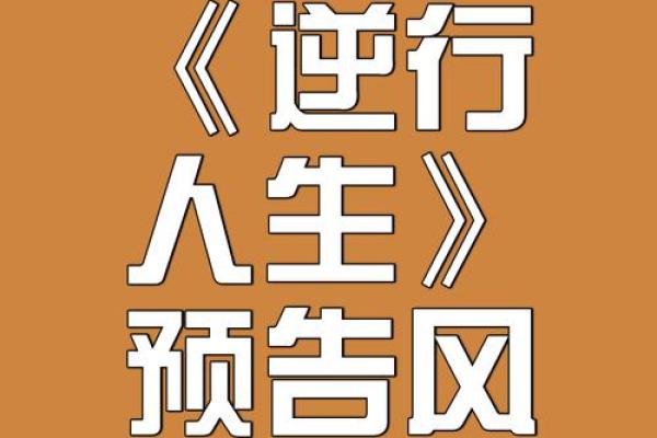 命运与机遇交织的人生旅程：从成语看生活智慧