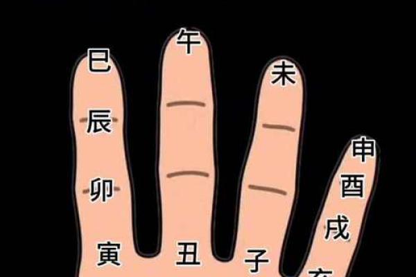 不同出生月的甲虫命运解析,你是哪个月的甲虫? 不同出生月的甲虫命运解析,你是哪个月的甲虫?