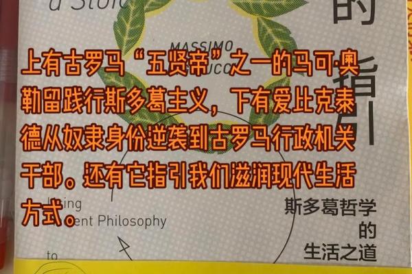 2986年命运与运势探讨：未来生活的哲学思考与指引