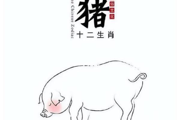 2019年属猪人的命运解析：如何在新的一年里把握机会与挑战