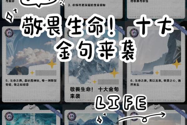 为什么没有几条命？探寻生命的奥秘与意义