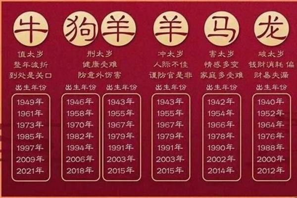 揭秘2023年50岁属狗人的命运与人生道路 揭秘2023年50岁属狗人的命运与人生道路