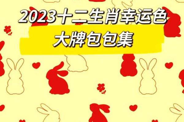 揭秘2023年50岁属狗人的命运与人生道路 揭秘2023年50岁属狗人的命运与人生道路