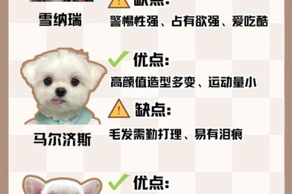 土命属狗的最佳色彩选择与生活搭配指南 土命属狗的最佳色彩选择与生活搭配指南