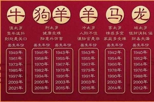 2009年属兔人的命理与人生运势解析