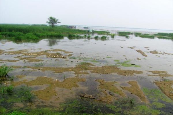 大溪水命的补救之道：打造和谐生活的秘诀