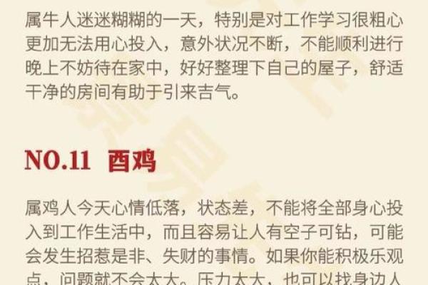 根据你属什么生肖,解析你的命运与人生 根据你属什么生肖,解析你的命运与人生