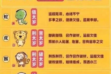 探索64岁生肖：是什么命运的象征与人生的启示