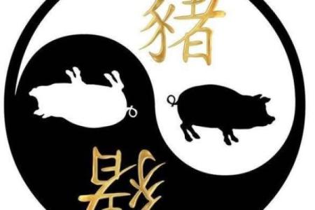 探秘火猪命：你知道命里的火多意味着什么吗？
