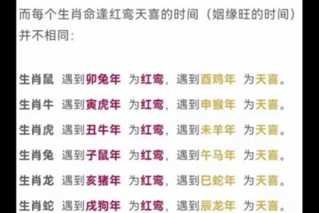 猪年正月出生的命理解析：财富与幸福的象征