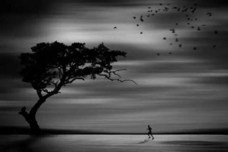 1964年出生女性的命运与人生解析：走过风雨，绽放精彩