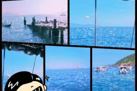 大海命的颜色选择：如何用色彩点亮人生的旅程