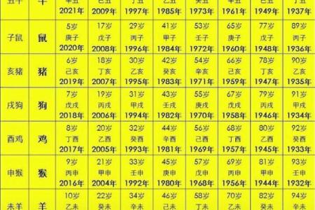 揭开1998年虎年的神秘面纱：生肖虎的命运与性格解析