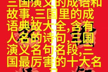 乐在其中，命运由我掌控——成语接龙的魅力探索