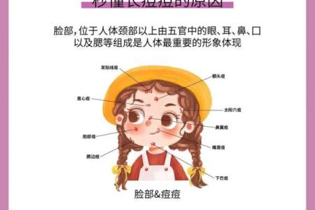 为什么脸上长痘痘？了解背后的命理与健康关系