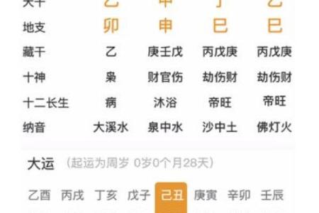 解读女命中丁巳的禁忌：命理背后的深意与影响