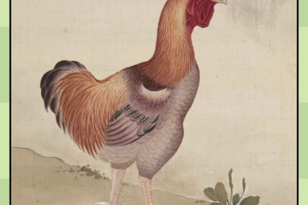 探秘木鸡的奥妙：从象征到生活的灵感