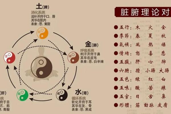 命理解析:相生相克,揭示命与命之间的微妙关系 命理解析:相生相克,揭示命与命之间的微妙关系