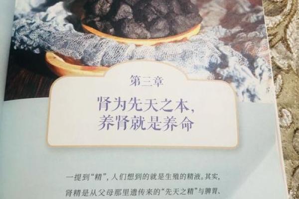 养命的真正含义与生活中的重要性 养命的真正含义与生活中的重要性