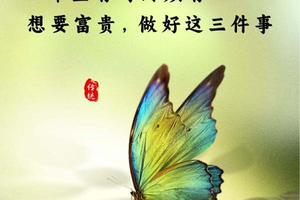 养命的真正含义与生活中的重要性 养命的真正含义与生活中的重要性