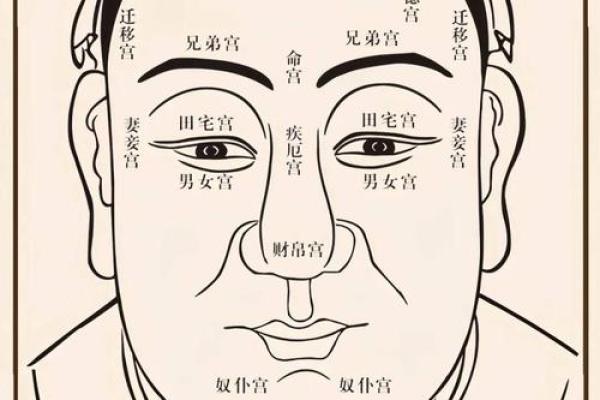 探寻2020属鼠人的命运与人生智慧:从五行看成功之道 探寻2020属鼠人的命运与人生智慧:从五行看成功之道