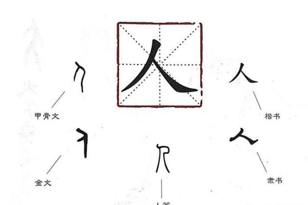 探寻木命之人:适合的汉字与其影响力 探寻木命之人:适合的汉字与其影响力