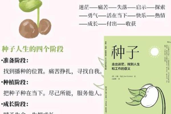 命主文曲星女命的深意与人生启示 命主文曲星女命的深意与人生启示