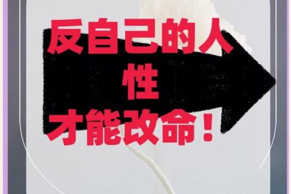 命运的桎梏:为何我不能去南方当官? 命运的桎梏:为何我不能去南方当官?