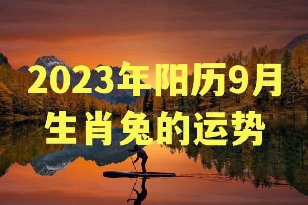 2023年属兔之人:命运解析与生肖运势展望 2023年属兔之人:命运解析与生肖运势展望