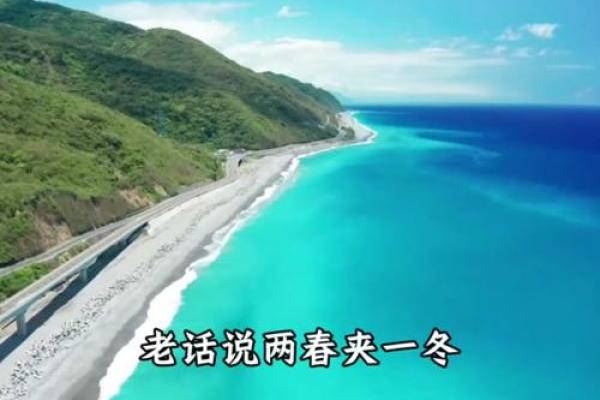 金蛇命：适合的专业与发展方向探秘