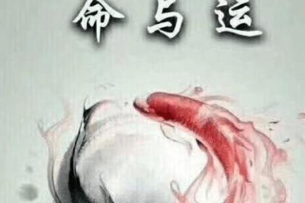 2017年27岁命理分析：探秘你的命运与未来之路