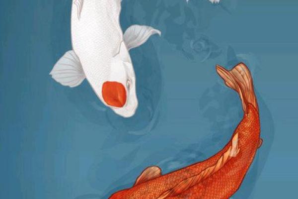 测命的秘密：探寻你生命中的吉星与幸运能量