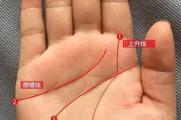 为什么断掌命运多舛,苦难连连?谈一谈断掌的迷信与现实 为什么断掌命运多舛,苦难连连?谈一谈断掌的迷信与现实